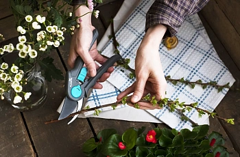 Plantic Секатор плоскостной L64 light, арт 25264-01, шт