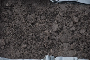 Грунт-торфосмесь "Земля садовая", Технолог, 125 л