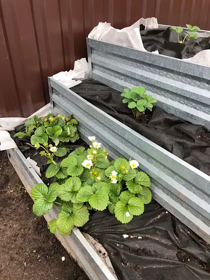 3-х ярусная грядка Perfo "Пирамида Большая квадратная", металл, h 0,6 x 2,0 * 1,4 * 0,8 м, уп