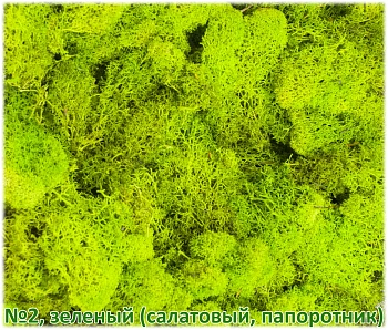 Мох стабилизированный №2 зеленый (салатовый, папоротник), 30*40 см, пак