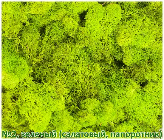 Мох стабилизированный №2 зеленый (салатовый, папоротник), 30*40 см, пак