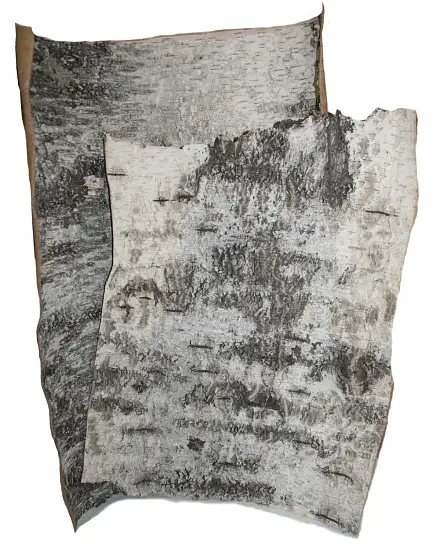 Береста в листах ( ~ 20 x 20 см), шт