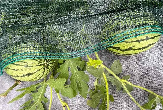 Агротекс двойная защита Бело-чёрный 80, 1,6*5 м, уп