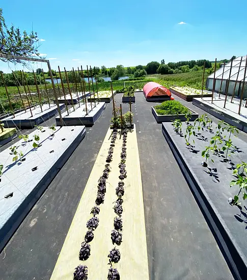 Агротекс Гео Черный 120 УФ, 0,8*12 м, уп