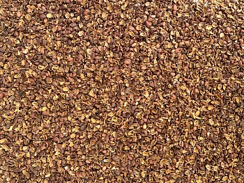 Скорлупа кедрового ореха (пакет 1 кг)