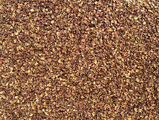 Скорлупа кедрового ореха, 90 л