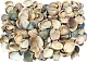 Ракушка морская, 10-40 мм, ~25 кг 