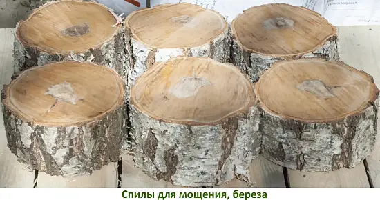 Спилы поквадратно дуб для мощения, (Ø 10-35см, h 8см), м.кв.