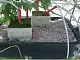 Пеностекло Субстрат Growplant, фр. 0,8-5 мм, зеленый, 50 л