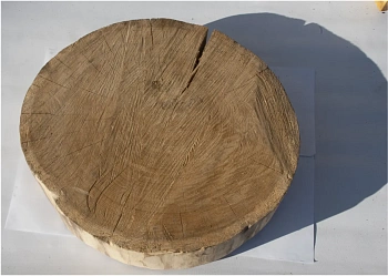 Спил дуб шлифовка СДШ2, (Ø 50-60см, h 8-10см), шт