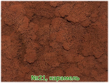 Мох стабилизированный №21 карамель, 30*40 см, пак