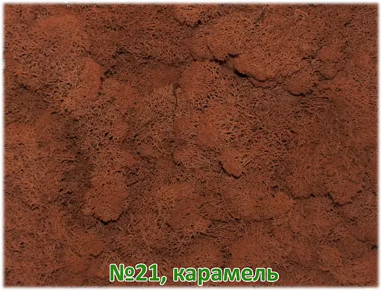 Мох стабилизированный №21 карамель, 30*40 см, пак