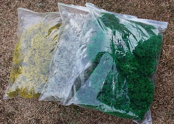 Мох стабилизированный №8 зеленое яблоко, 30*40 см, пак