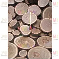 Садовая дорожка из дубовых спилов