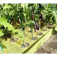 Мульчирующий двухслойный материал агротекс Желто-Черный 80