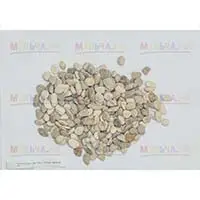 Светлая морская галька – достойное украшение участка и дома