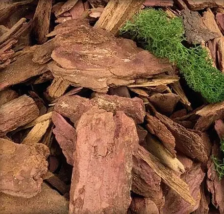 Кора лиственницы: природный материал для вашего участка