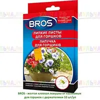 Защита комнатных растений от вредителей без использования инсектицидов