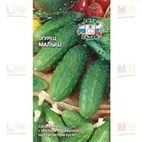 В продаже большой выбор семян огурцов