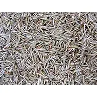 Красивая газонная трава, которой нашлось применение в садоводстве