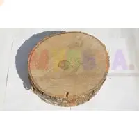 Для чего нужны спилы березы