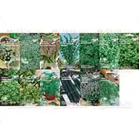 13 ароматических трав для вашего огорода