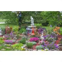 Кора сосны: и мульча, и отсыпка