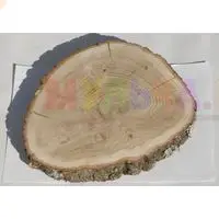 Украсить дом помогут шлифованные дубовые спилы