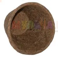 В кокосовых горшках рассада хорошо развивается и легко переносит высадку