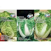 Пекинская капуста: минимум калорий, максимум витаминов