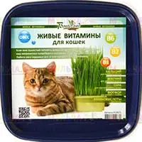 Живые витамины для домашних любимцев