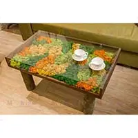 Мульча.рф на Первом канале! Проект “Природа в доме”