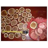 Декор интерьера в экостиле при помощи деревянных спилов