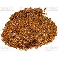 Лен - морозоустойчивый сидерат, для раннего высева