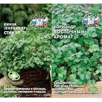 Кинза - популярная азиатская приправа