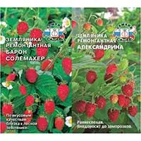 А вы уже купили семена земляники?