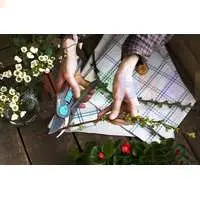 Плоскостной секатор для аккуратной подрезки деревьев