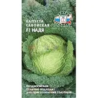 Семена савойской капусты для вашего огорода