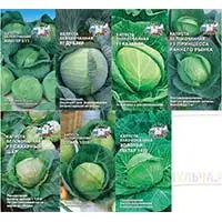 Семена капусты, 7 сортов и гибридов