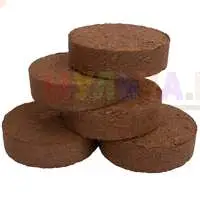 Кокосовый субстрат - идеальное решение для создания нужного микроклимата в террариумах