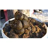 В продажу поступил чистый конский навоз, без примесей