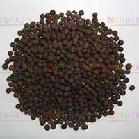 Вика посевная - сидерат обогащающий почву органическими веществами