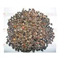 Гречиха высаженная в качестве сидерата улучшает структуру почвы