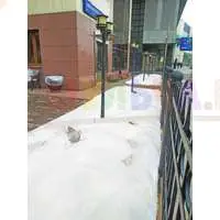 Укрывной материал поможет сохранить рассаду и увеличить урожай