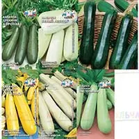 Аэронавт, белый лебедь, ксюша и семена кабачков других сортов в нашем магазине