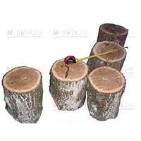 Дубовые чурбаки для ландшафтного дизайна и творчества