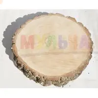 Крупные березовые спилы для садового декора