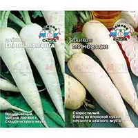 Дайкон - большая и вкусная редька