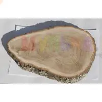 Шлифованные спилы дуба с уникальной текстурой