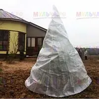 Зимние укрытия для молодых хвойных деревьев